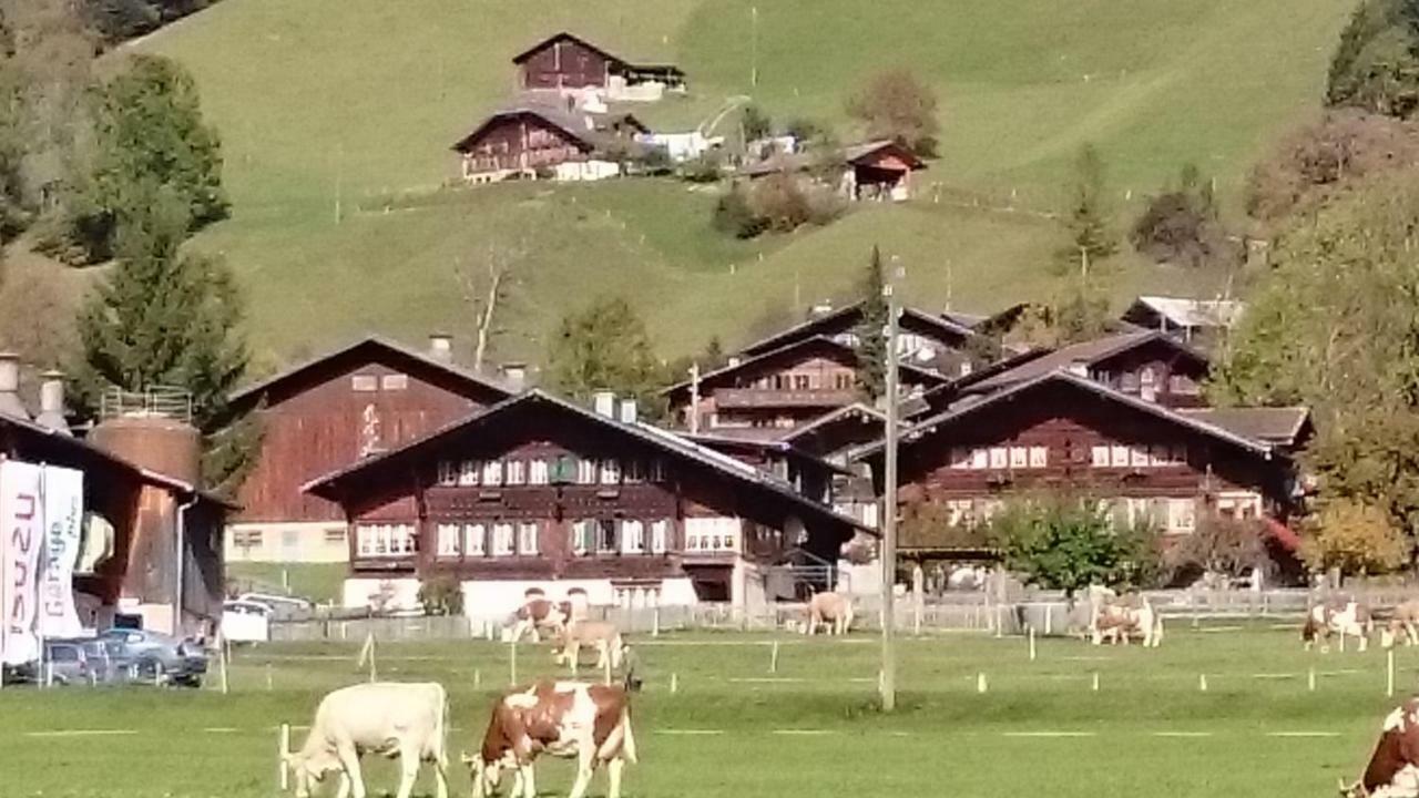 Mattihus Daire Sankt Stephan Dış mekan fotoğraf
